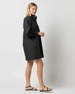 Anaya Popover Dress