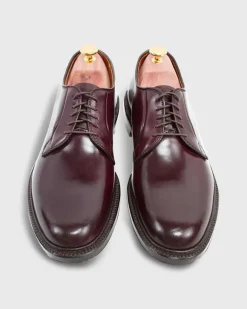Blucher