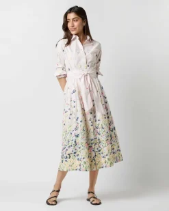 Classic Shirtwaist Dress