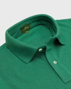 Court Polo