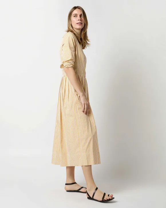 Felicity Shirtwaist Dress