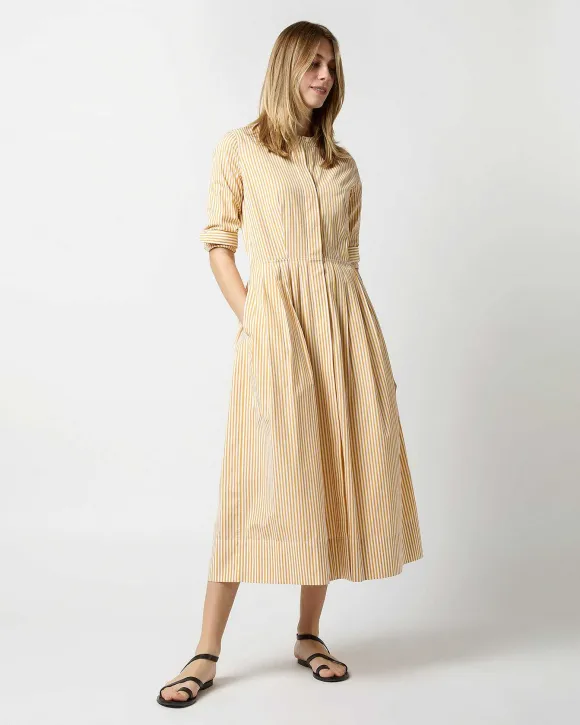 Felicity Shirtwaist Dress
