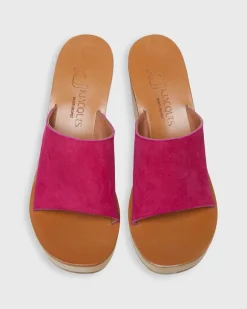 Ficus Heel