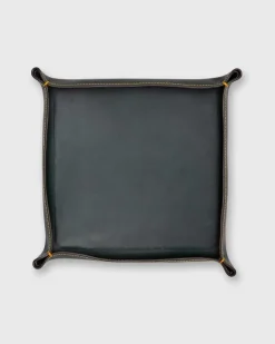 Large Tray
