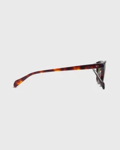Legend Sunglasses