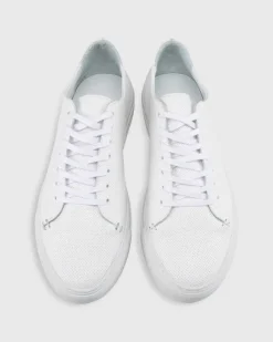 Low-Top Lace-Up Sneaker