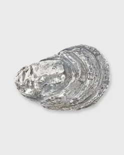 Oyster Shell Belt Buckle