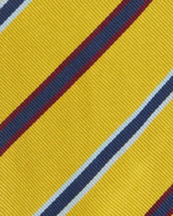 Silk Woven Tie