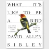 What It's Like To Be A Bird